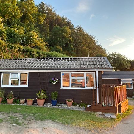 Chalet 5 Clarach Bay Aberystwyth Exteriör bild